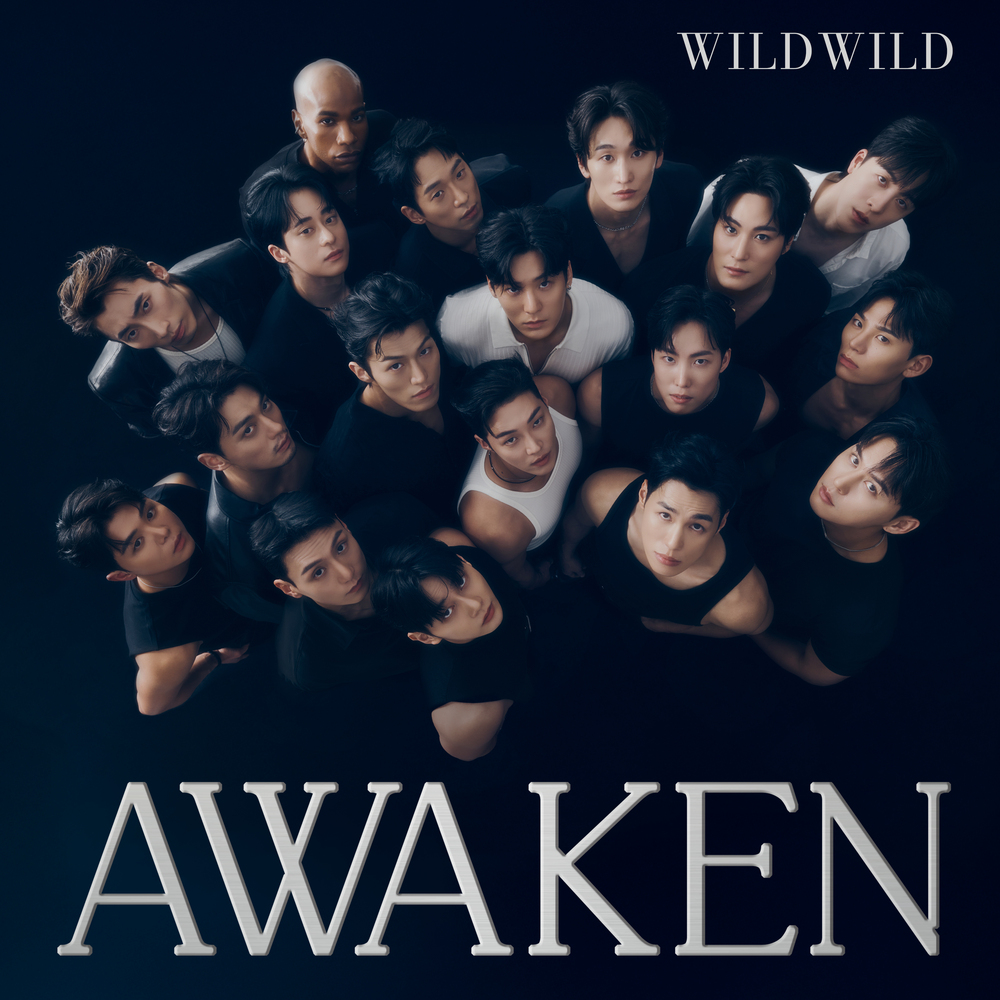 Image Cover